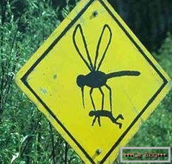 Señal de tráfico del mosquito extraño