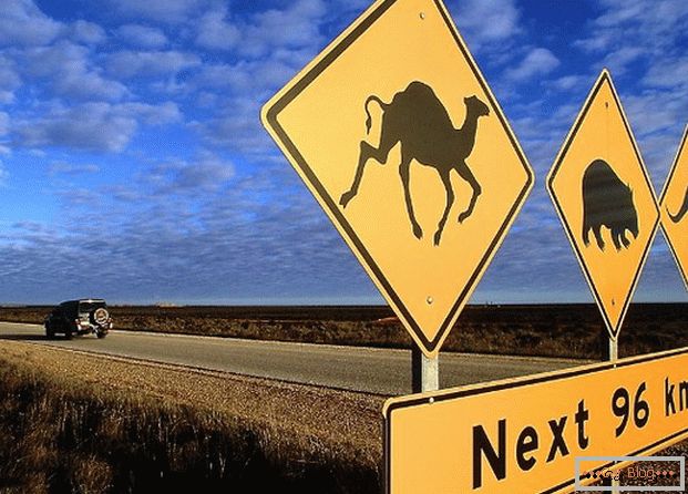 La señal de tráfico australiana advierte que varios animales pueden correr en la carretera.