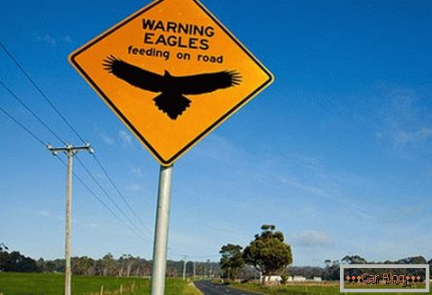 Aviso de la posibilidad de encontrar águilas en la carretera.