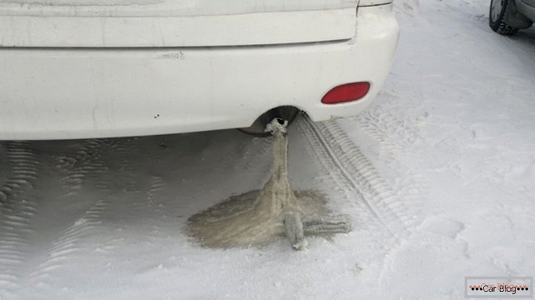 Sistema de escape de coche congelado